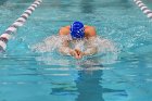 Swimming vs Bentley  Wheaton College Swimming vs Bentley. - Photo By: KEITH NORDSTROM : Wheaton, Swimming, Bentley
